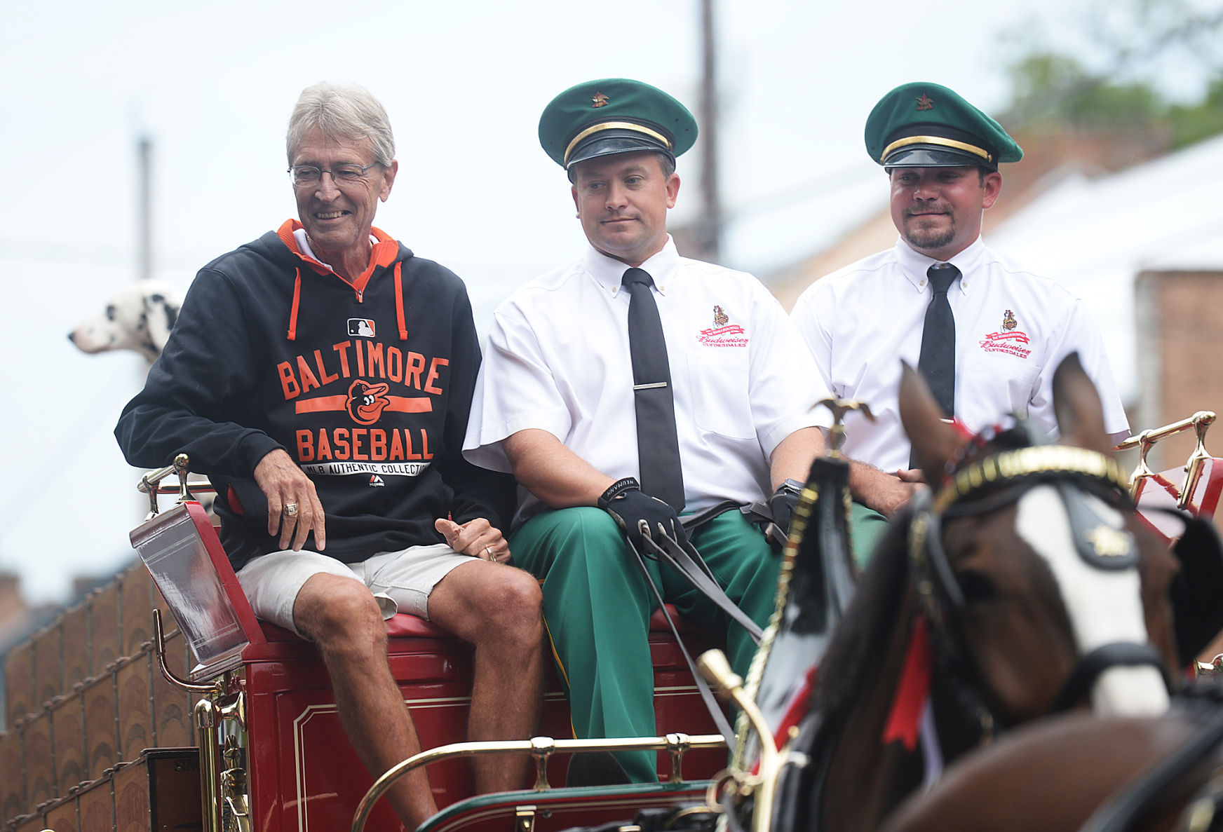 Budweiser Clydesdales Visit Shippensburg